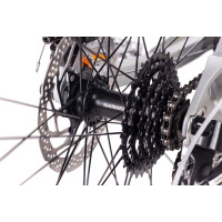 26 Zoll Dirt Bike CHRISSON RUBBY mit 24 Gang Shimano Acera grau-matt